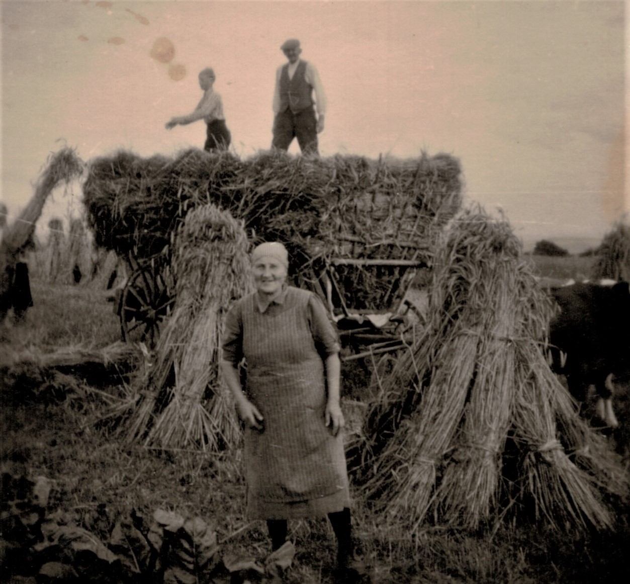 Historisches Rickelrath Feldarbeit