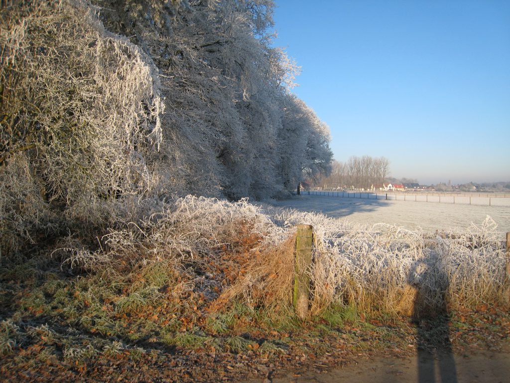 Winter Impressionen Rickelrath