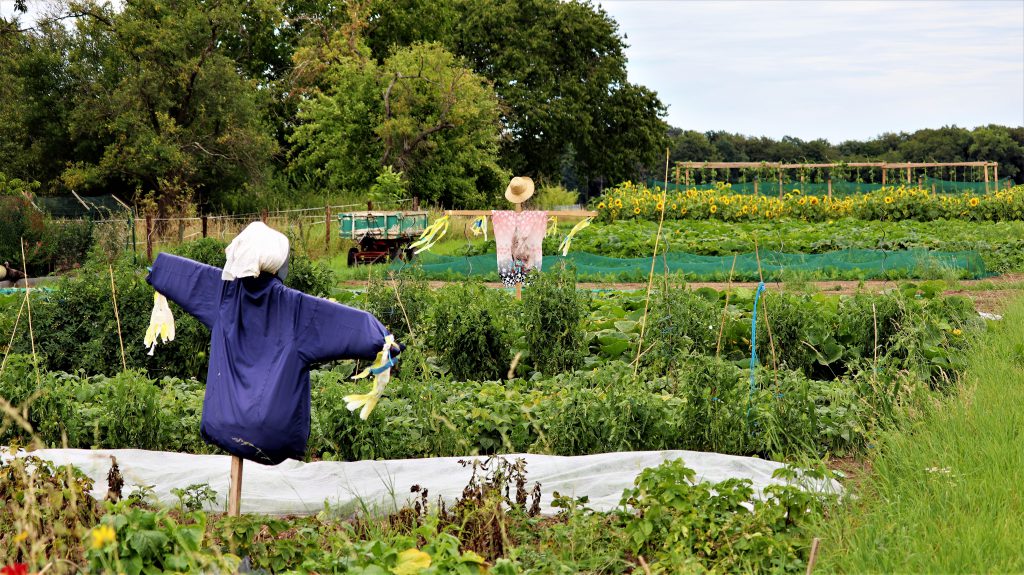 Rickelrath Gartenansicht